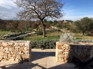 vista dal trullo Podere Papilio