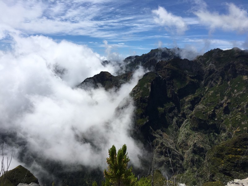 Madeira